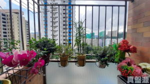 祥雲閣 - 28NTS – 香港北部都會區