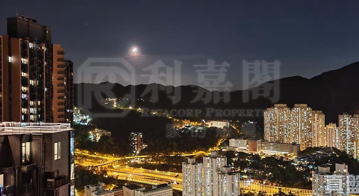 柏傲莊 1期 2座 (2A) - 28NTS – 香港北部都會區
