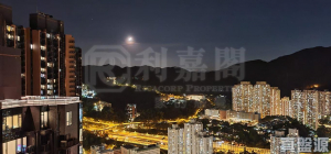 柏傲莊 1期 2座 (2A) - 28NTS – 香港北部都會區