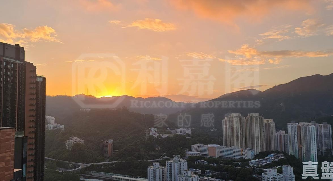 柏傲莊 1期 2座 (2A) - 28NTS – 香港北部都會區