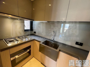 柏傲莊 2期 5座 (5A) - 28NTS – 香港北部都會區