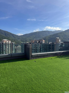 天鑽 5座 - 28NTS – 香港北部都會區