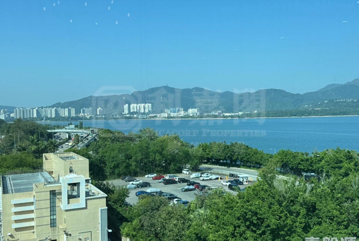 天賦海灣 1期 15座 - 28NTS – 香港北部都會區