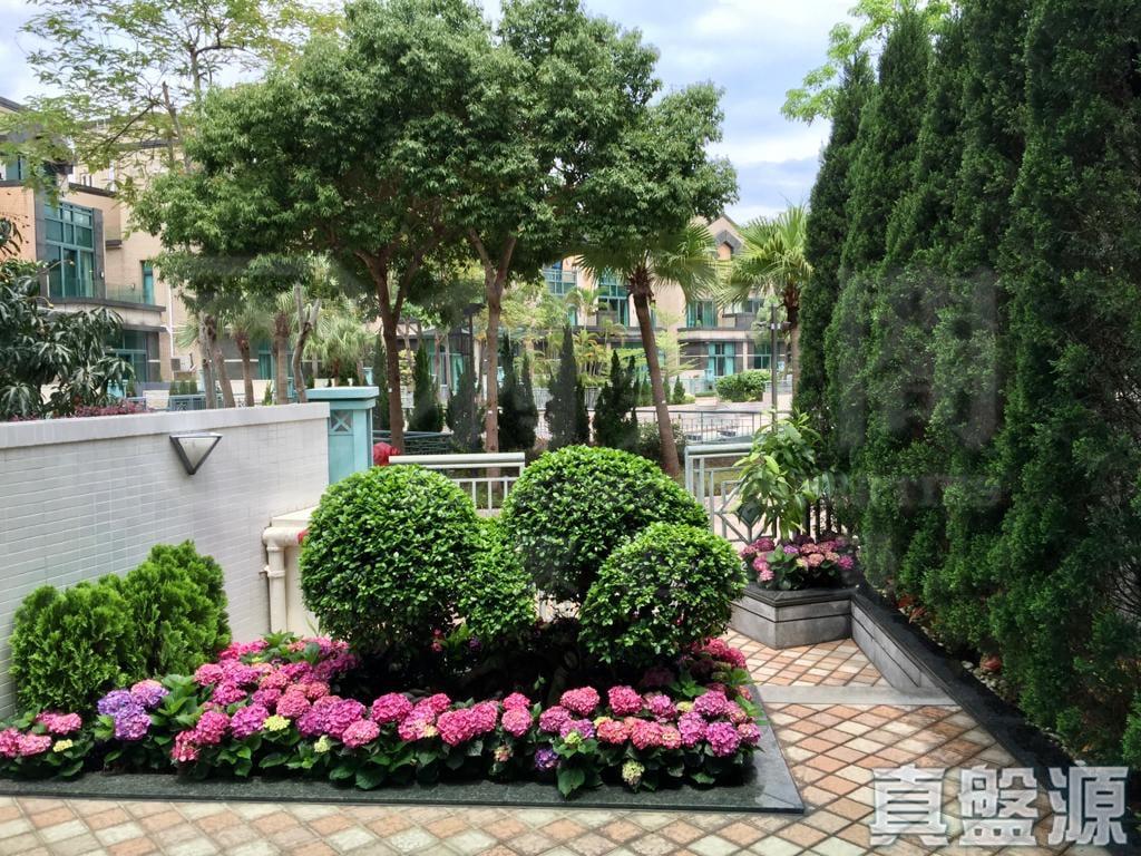 淺月灣 1期 - 28NTS – 香港北部都會區