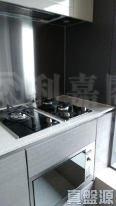 迎海 3期 迎海‧星灣御 16座 - 28NTS – 香港北部都會區