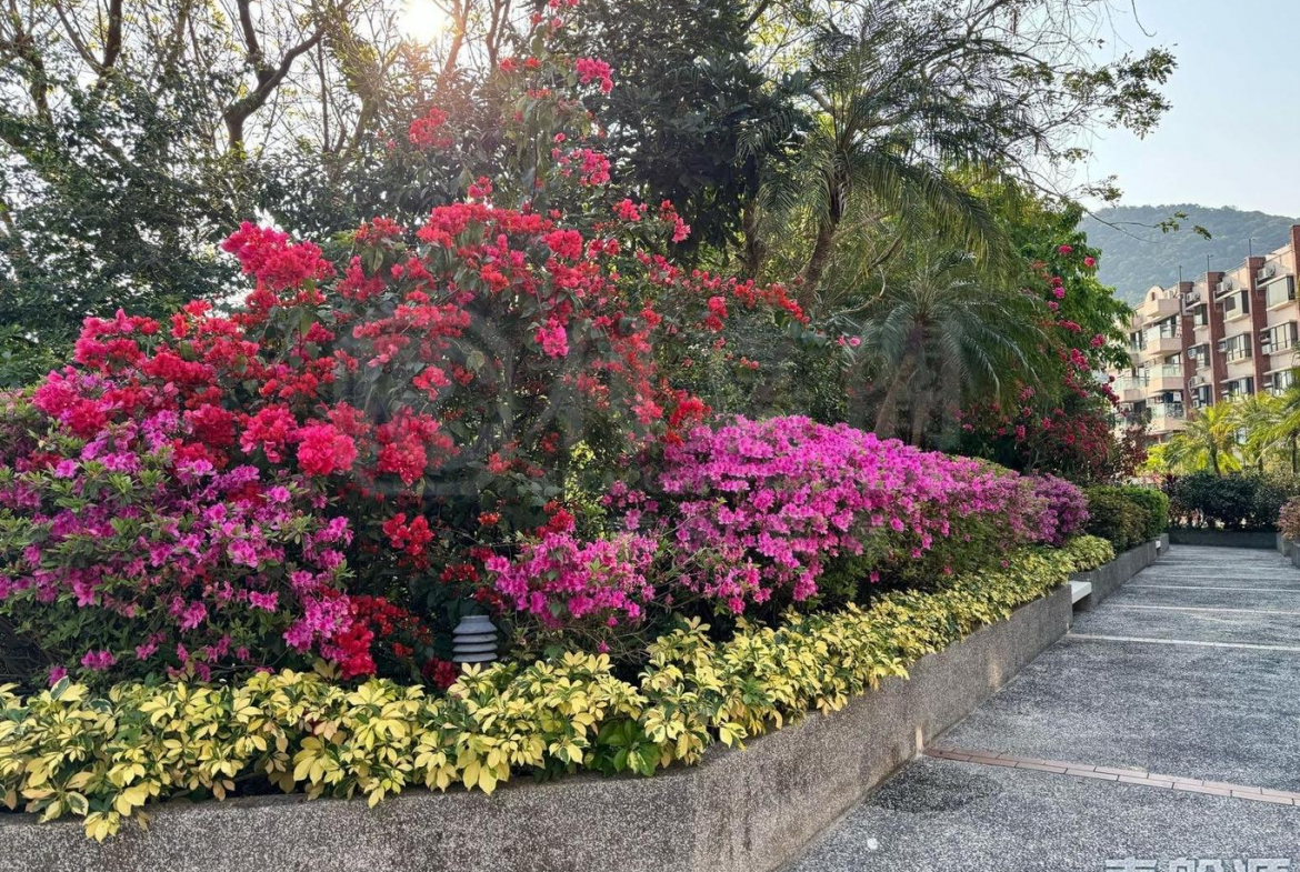 翡翠花園 46座 - 28NTS – 香港北部都會區