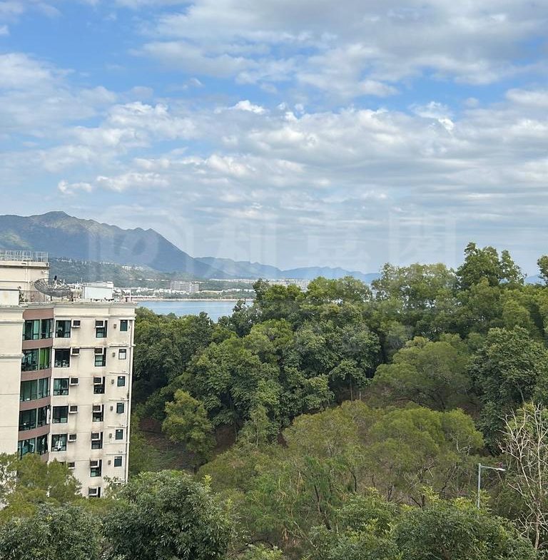 大埔寶馬山 1座 - 28NTS – 香港北部都會區