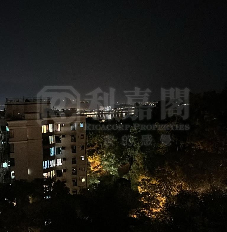 大埔寶馬山 1座 - 28NTS – 香港北部都會區