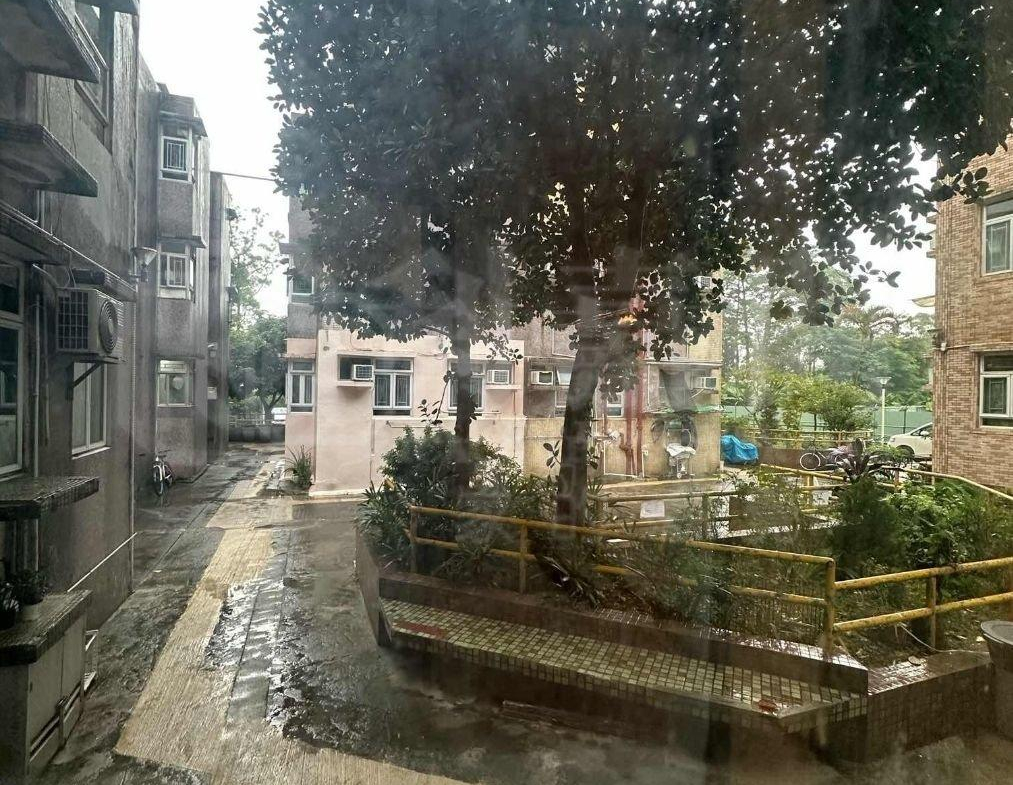 美景新邨 3A座 - 28NTS – 香港北部都會區