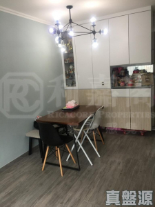 翠擁華庭 8座 - 28NTS – 香港北部都會區