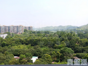 皇府山 6座 - 28NTS – 香港北部都會區