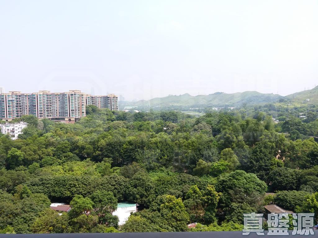 皇府山 6座 - 28NTS – 香港北部都會區