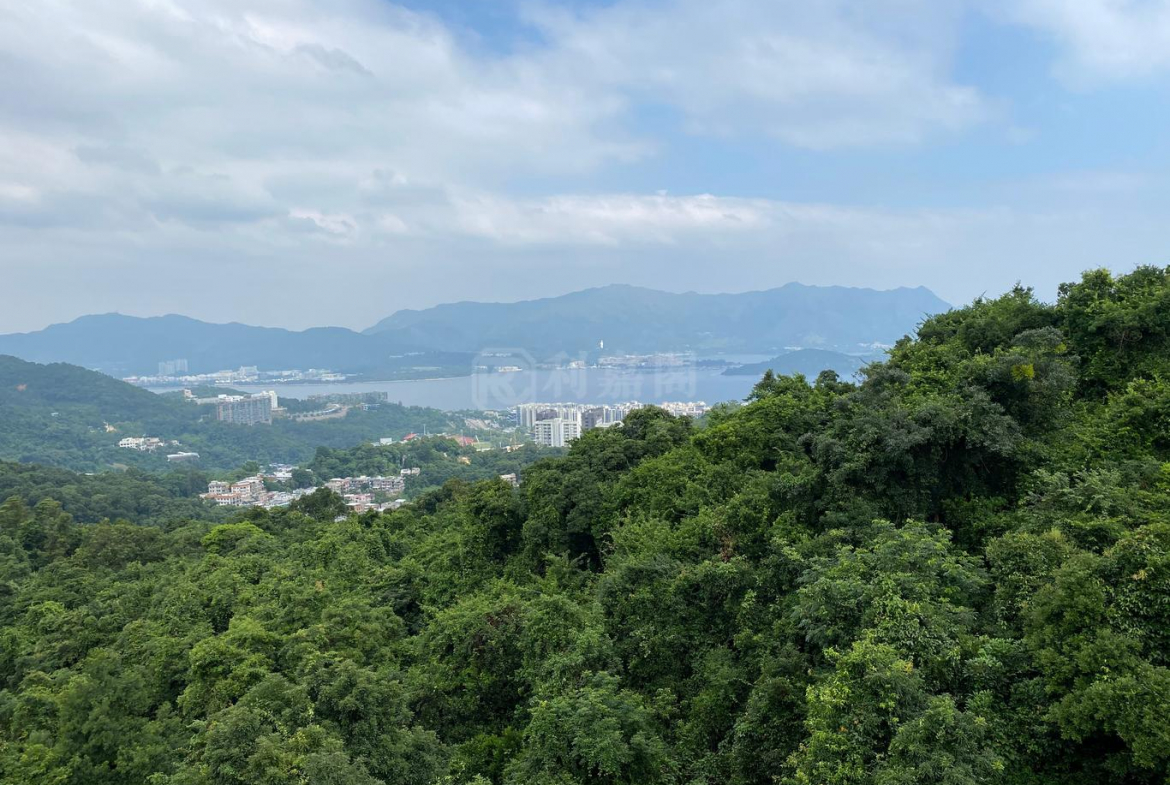 澐灃 6座 - 28NTS – 香港北部都會區