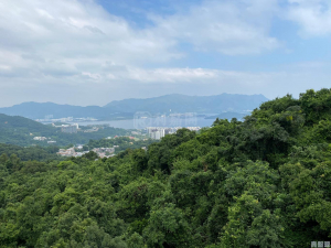 澐灃 6座 - 28NTS – 香港北部都會區