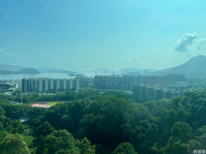 鹿茵山莊 鹿怡居 3座 - 28NTS – 香港北部都會區