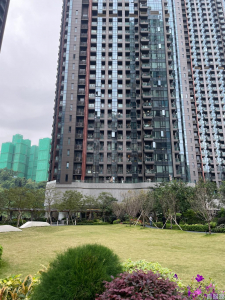 星凱．堤岸 3座 - 28NTS – 香港北部都會區