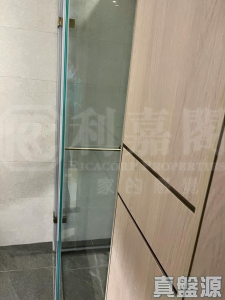 柏傲莊 2期 7座 (7A) - 28NTS – 香港北部都會區