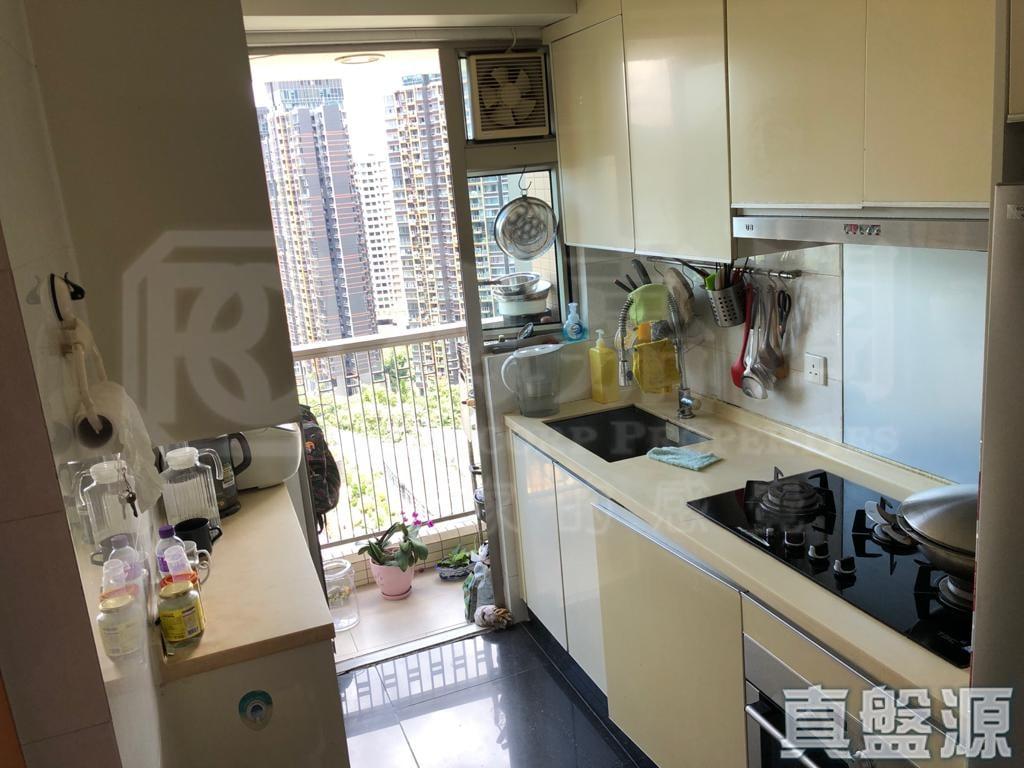 銀湖．天峰 1座 - 28NTS – 香港北部都會區