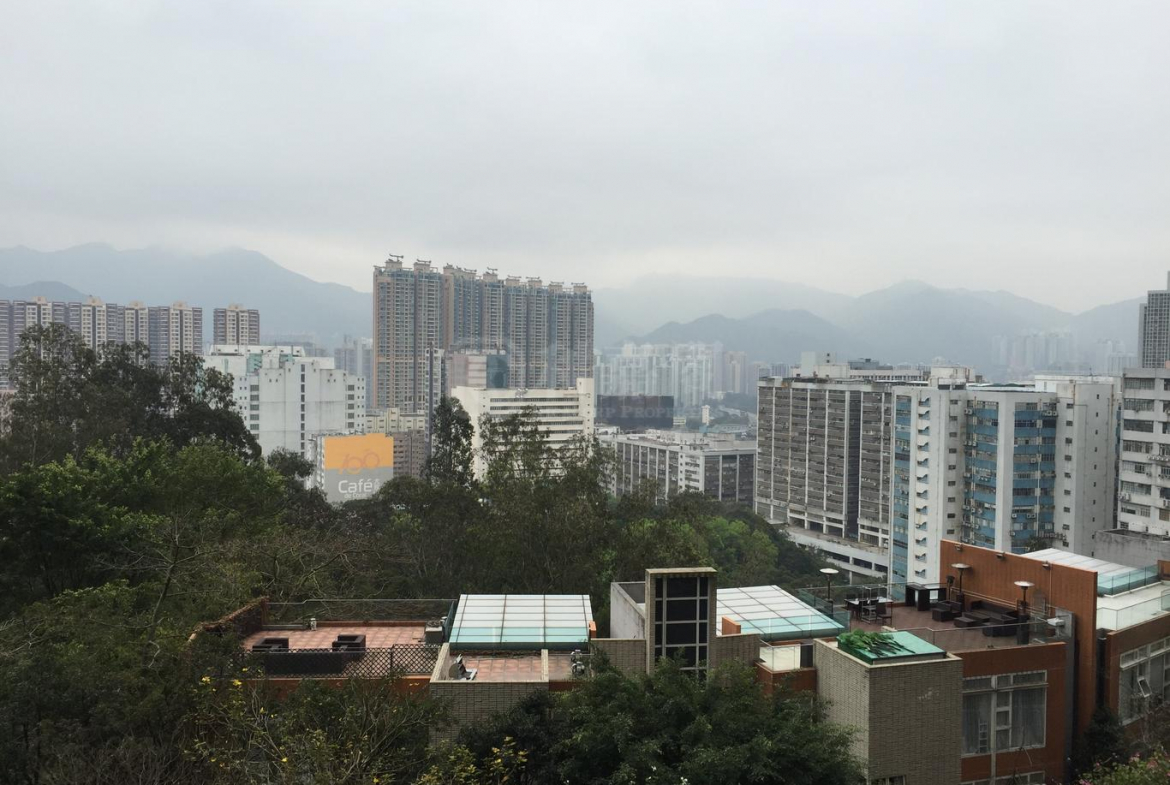 晉名峰 B座 - 28NTS – 香港北部都會區