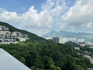 富豪‧山峯 - 28NTS – 香港北部都會區