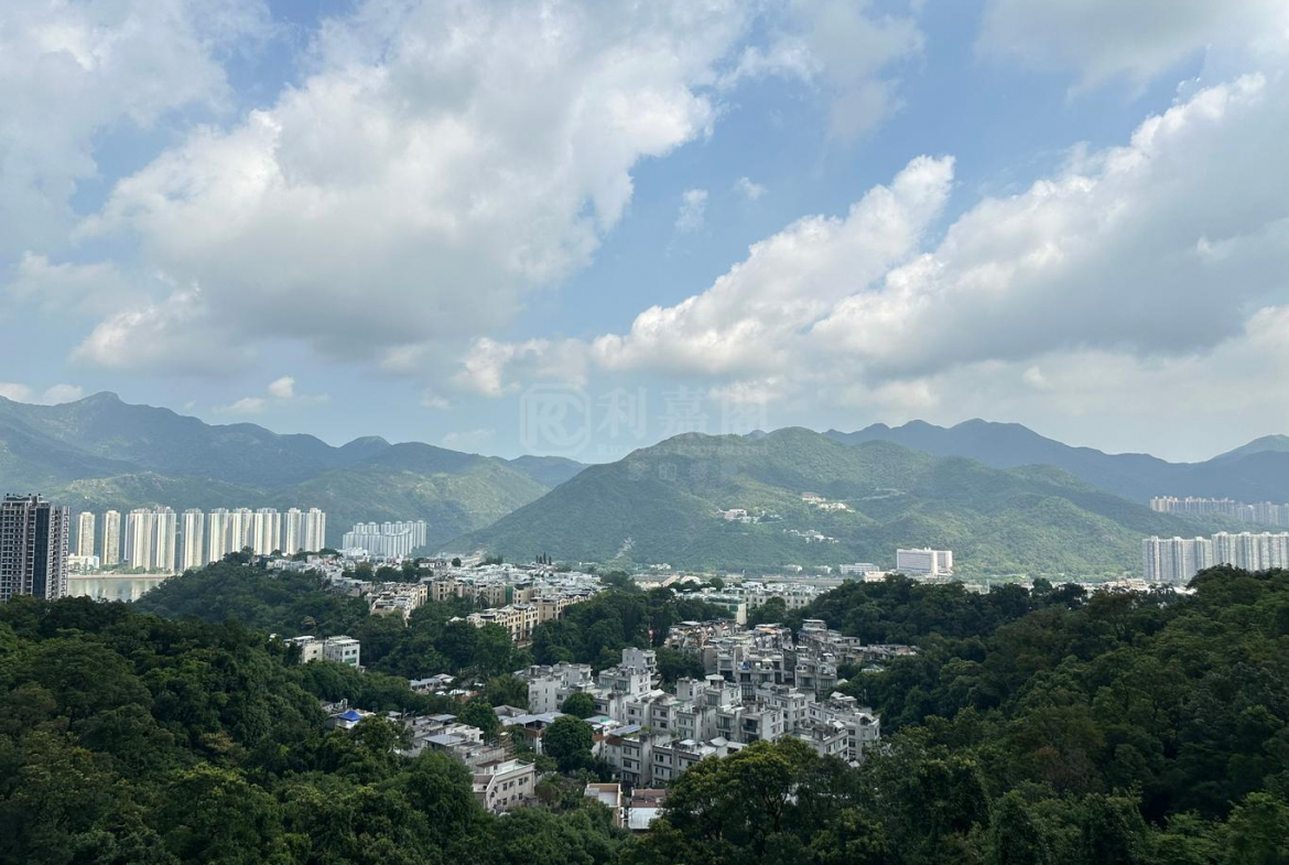 富豪‧山峯 - 28NTS – 香港北部都會區