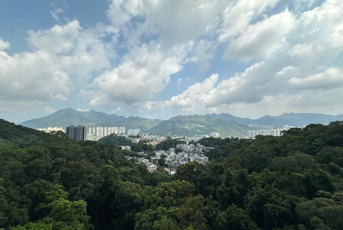 富豪‧山峯 - 28NTS – 香港北部都會區