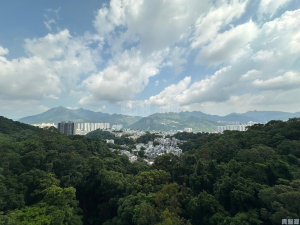 富豪‧山峯 - 28NTS – 香港北部都會區