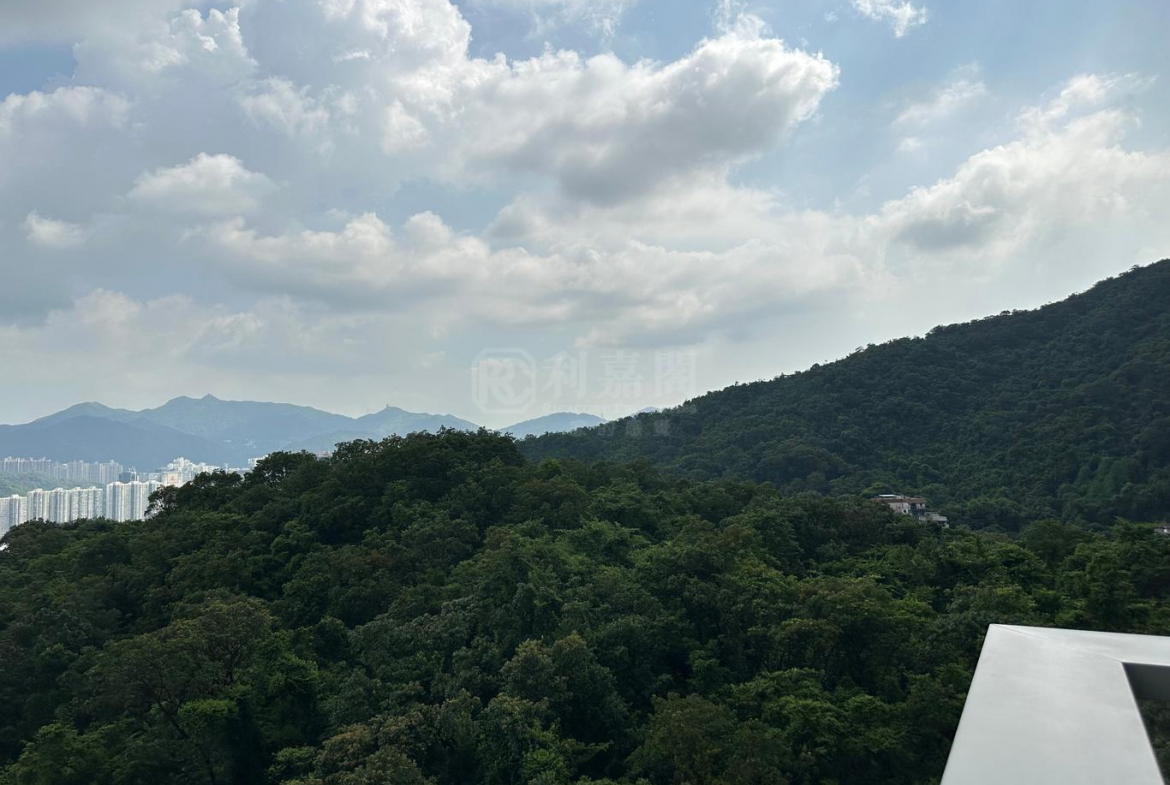 富豪‧山峯 - 28NTS – 香港北部都會區