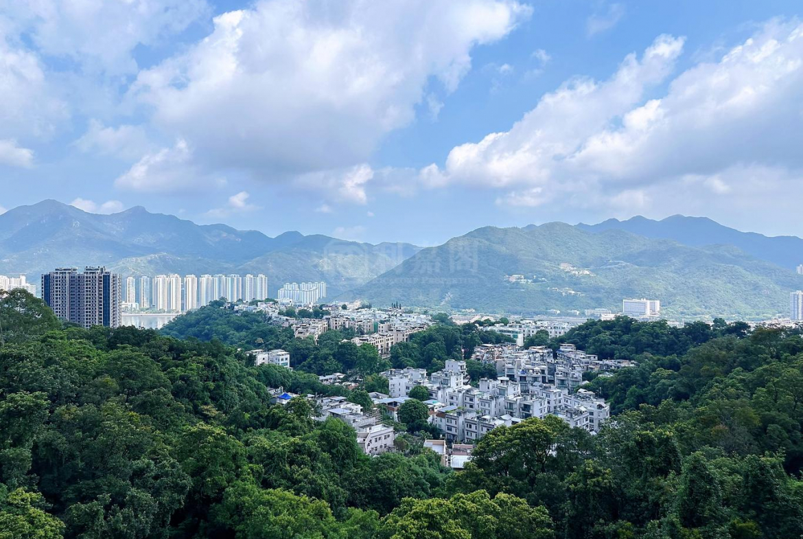 富豪‧山峯 - 28NTS – 香港北部都會區