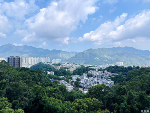 富豪‧山峯 - 28NTS – 香港北部都會區