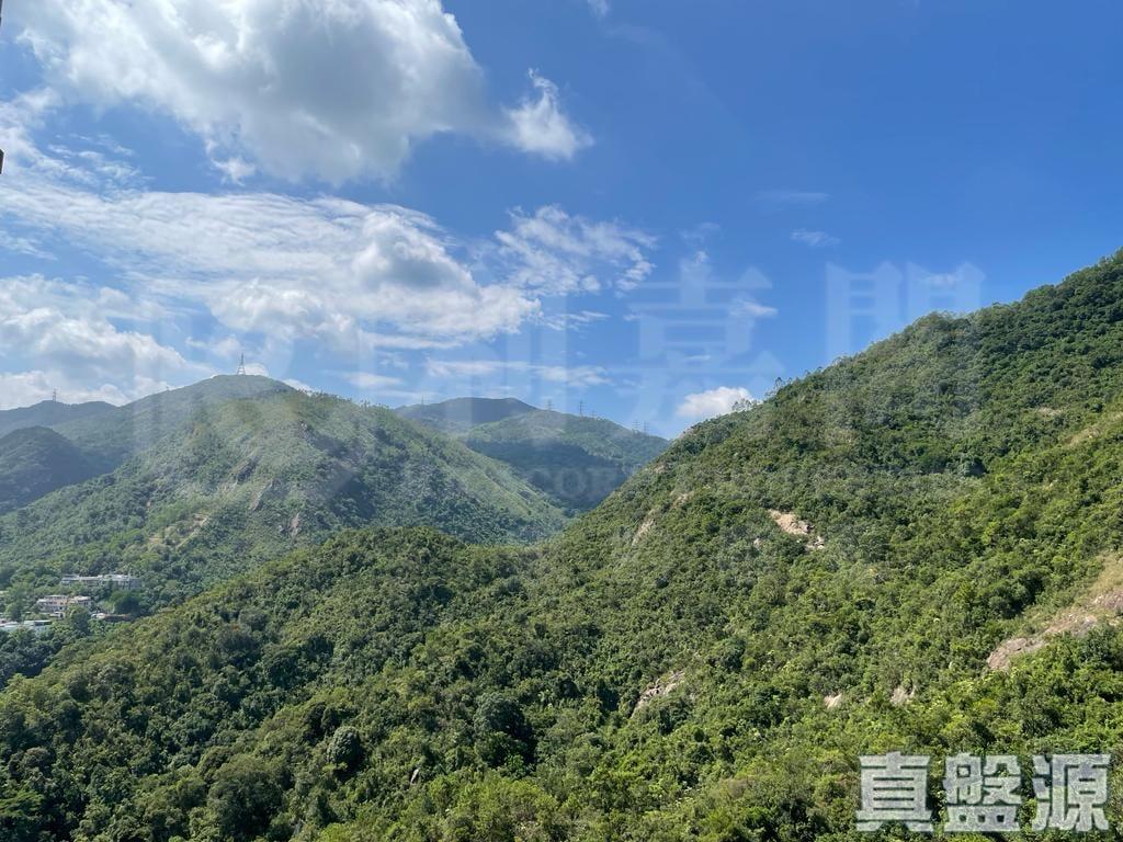 晉名峰 B座 - 28NTS – 香港北部都會區