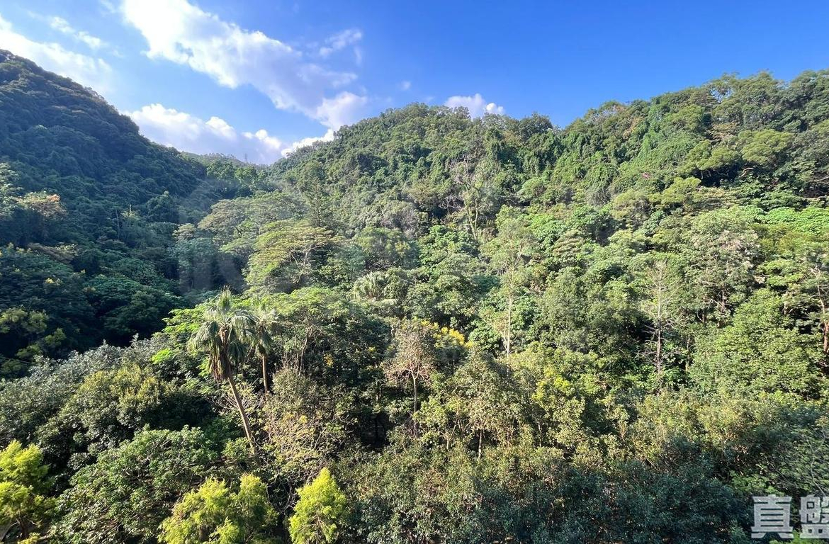 壹號雲頂 1期 2座 - 28NTS – 香港北部都會區