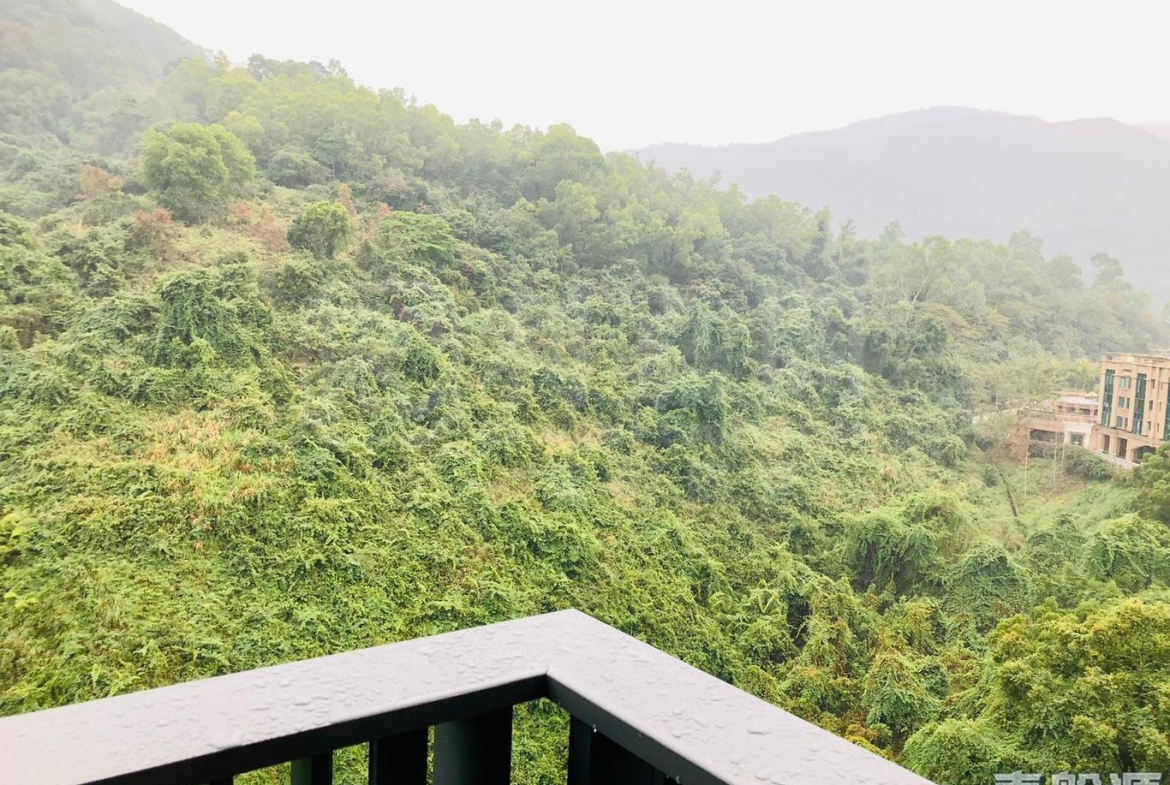 天鑽 8座 - 28NTS – 香港北部都會區