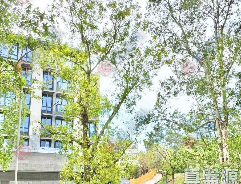 嘉豐花園 7座 - 28NTS – 香港北部都會區
