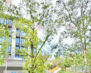嘉豐花園 7座 - 28NTS – 香港北部都會區