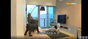 溱岸8號 1座 - 28NTS – 香港北部都會區