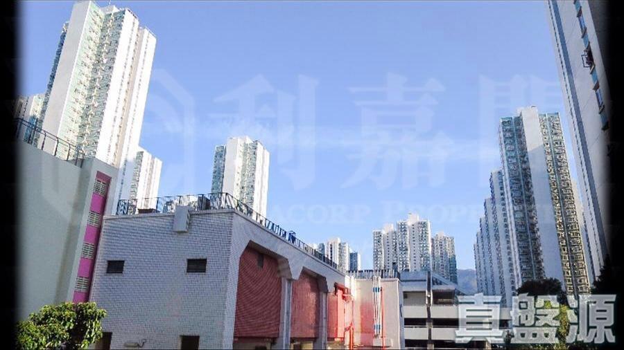 沙田第一城 1期 14座 - 28NTS – 香港北部都會區