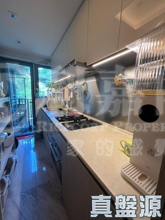 天鑽 19座 - 28NTS – 香港北部都會區