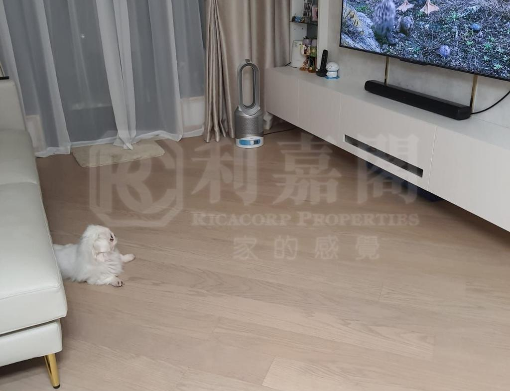 天鑽 2座 - 28NTS – 香港北部都會區