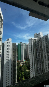 錦鞍苑 寶鞍閣 (C座) - 28NTS – 香港北部都會區