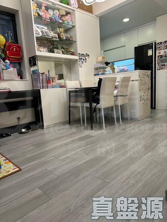 帝堡城 2座 - 28NTS – 香港北部都會區