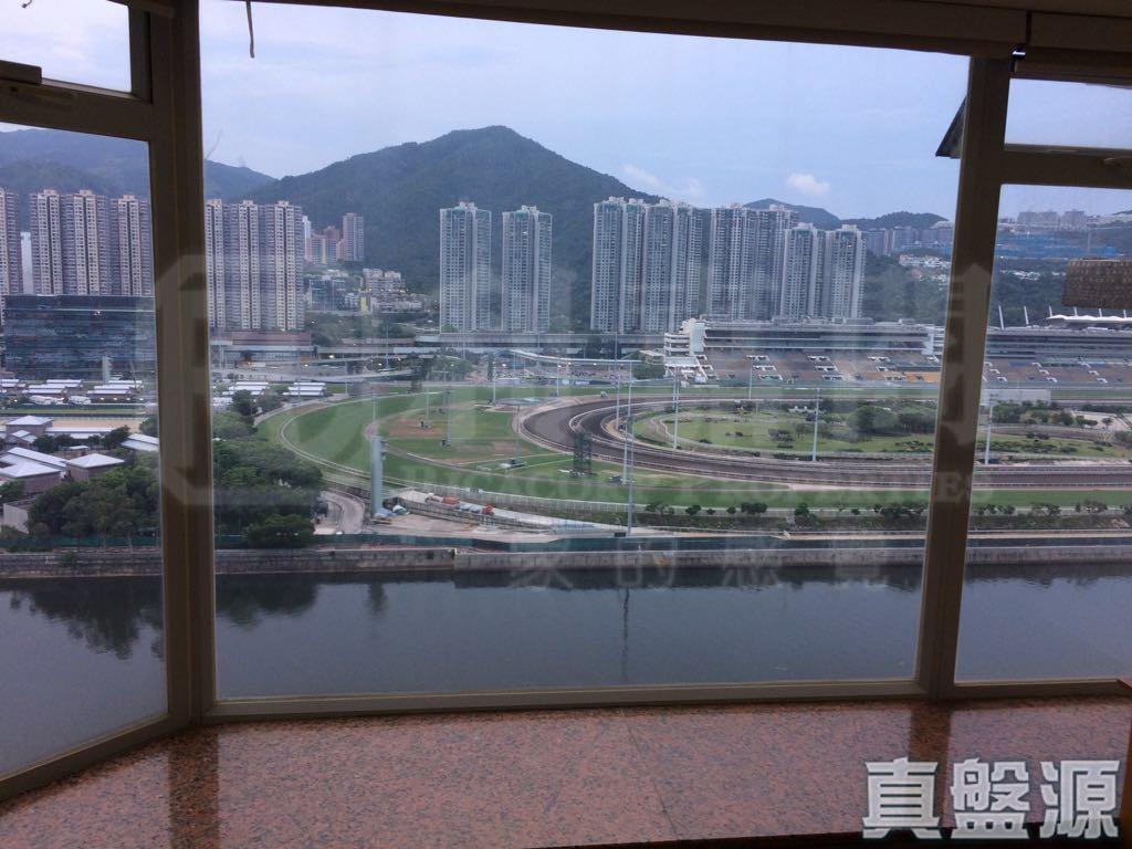 碧濤花園 1期 百利閣( 2座) - 28NTS – 香港北部都會區