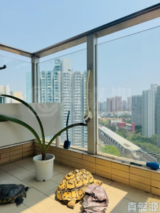 天宇海 6A座 - 28NTS – 香港北部都會區