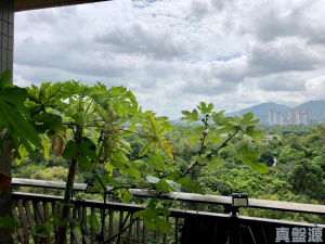 皇府山 6座 - 28NTS – 香港北部都會區