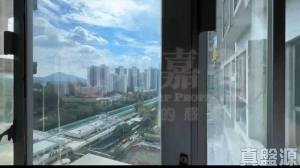 粉嶺名都 百利閣 (2座) - 28NTS – 香港北部都會區