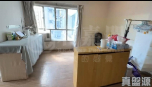 粉嶺名都 百利閣 (2座) - 28NTS – 香港北部都會區