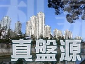 大埔中心 1期 1座 - 28NTS – 香港北部都會區
