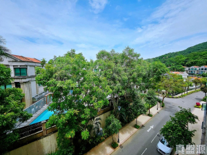 滌濤山 12座 - 28NTS – 香港北部都會區