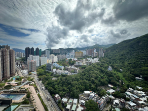 駿景園 2期 8座 - 28NTS – 香港北部都會區