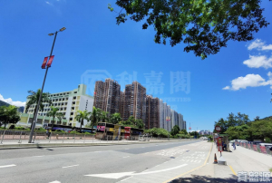碧濤花園 2期 富臨閣 (B座) - 28NTS – 香港北部都會區